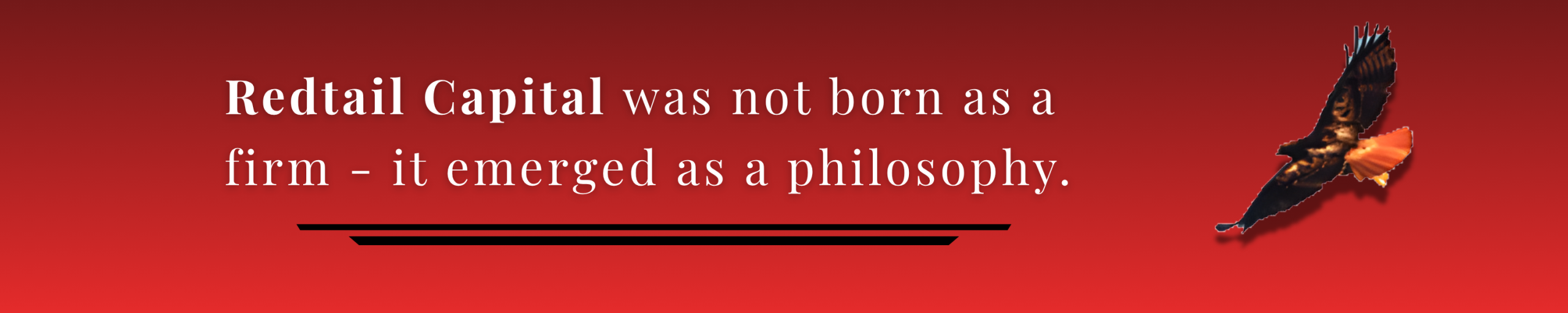 Redtail History Hero