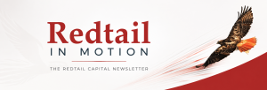 Redtail in Motion Banner
